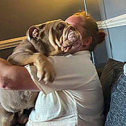 Arnie is registered to the contest to win money with this photo: affection, animal, brown_dog, bulldog, casual, comfort, couch, dog, furniture, home, hugging, indoor, lamp, love, person, pet, relaxation, seated, wall, white_shirt