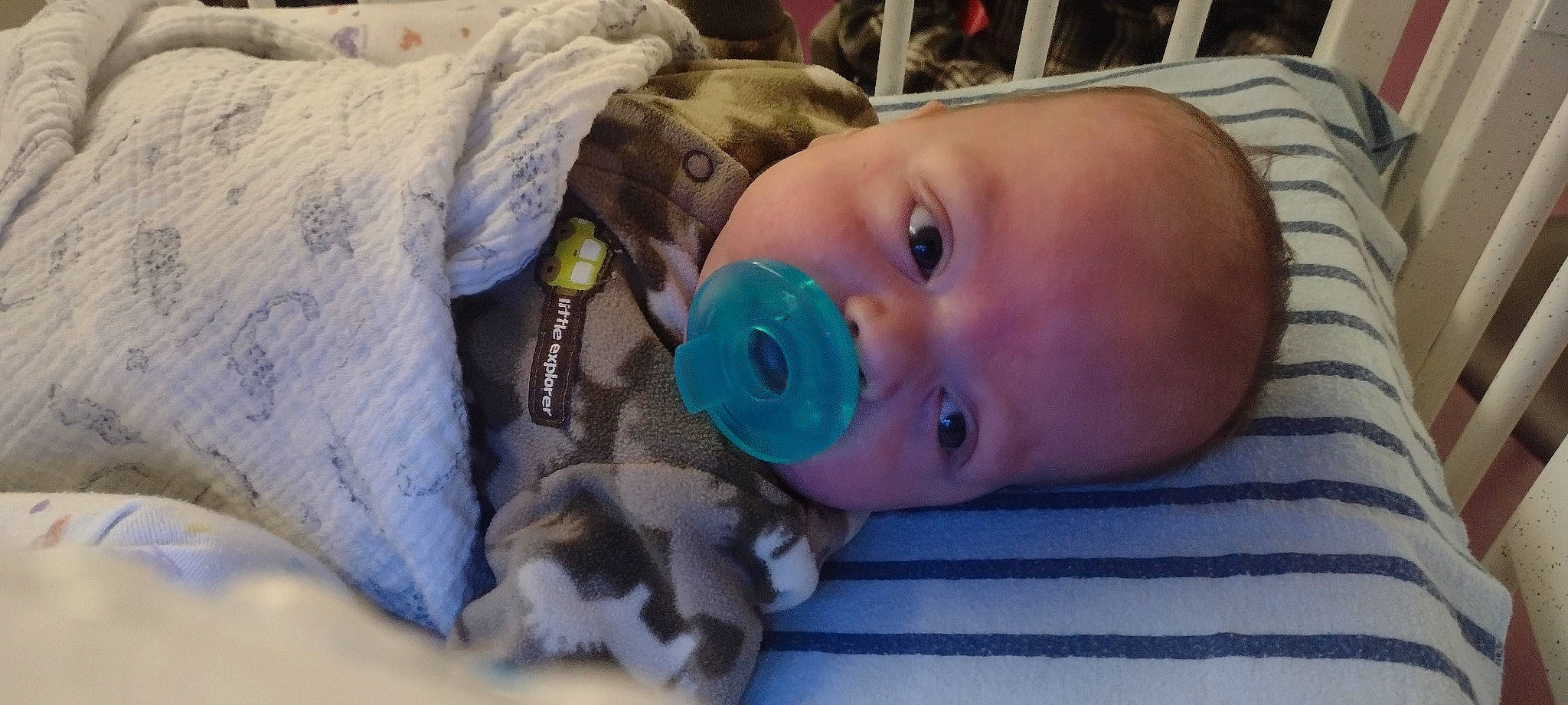 Jaxon is registered to the contest to win money with this photo: baby, baby_products, baby_safety, baby_toddler_clothing, baby_toys, cheek, child, comfort, eyelash, fur, iris, linens, mammal, nose, person, room, skin, smile, toddler, vertebrate