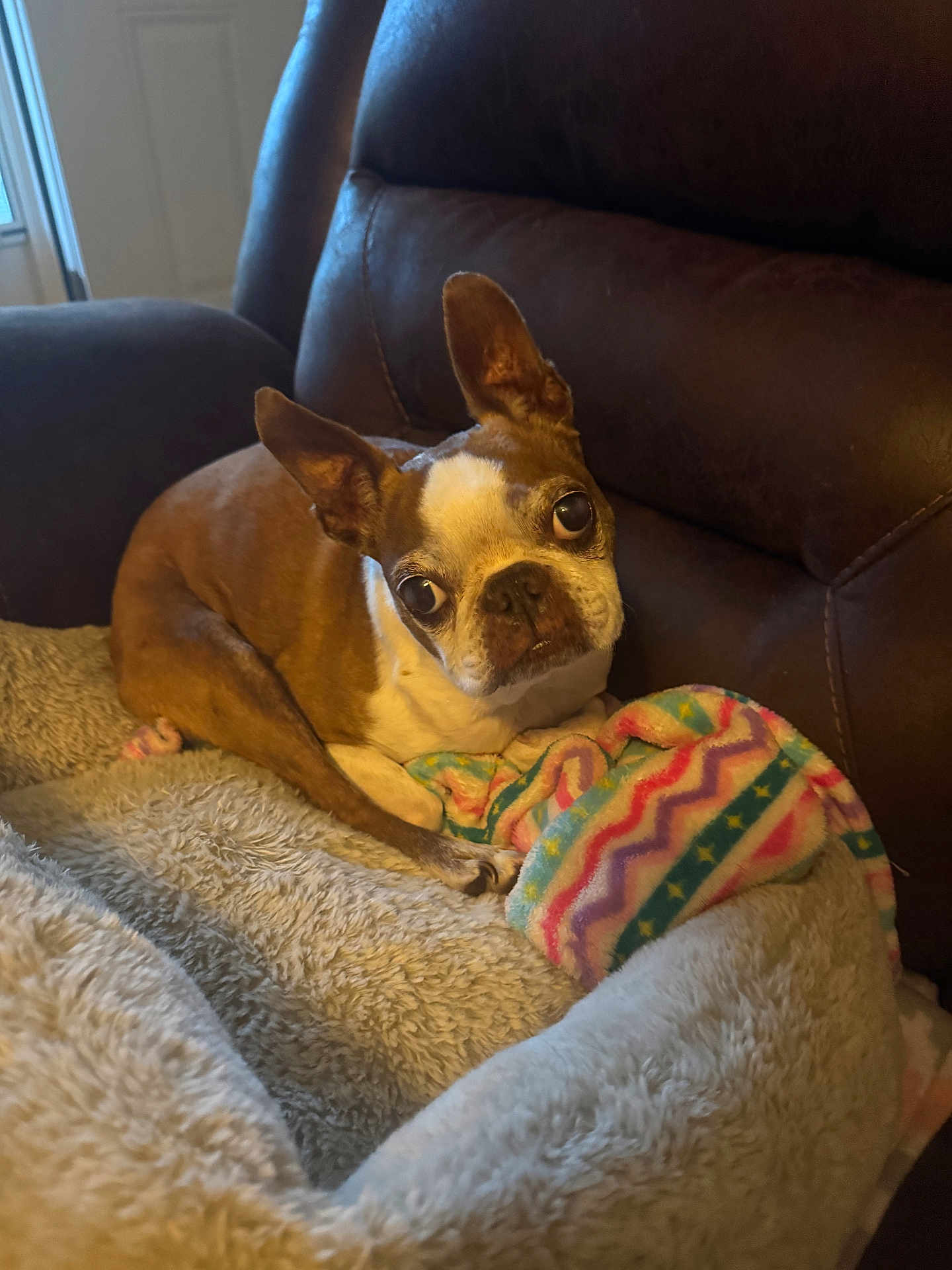 Jax