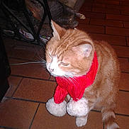 Mengal Caramel participe au concours pour gagner de l'argent avec cette photo :