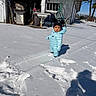 Vega joined the competition — help win amazing prizes! black, blue, boots, child, clothing, cold, daytime, footprints, garden_tools, hat, nature, outdoor, person, puffer_jacket, shadow, shed, snow, sunny, toddler, winter