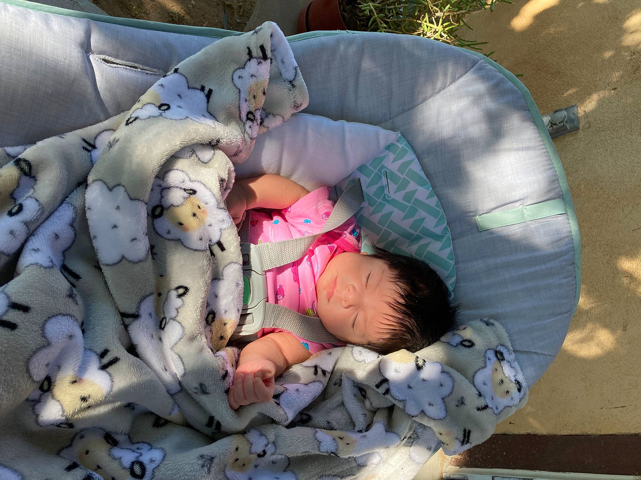 Heavenly joined the competition — help win amazing prizes! baby, baby_products, baby_sleeping, baby_toddler_clothing, bedtime, child, comfort, grass, lap, leisure, linens, nap, person, recreation, room, sitting, sleep, stuffed_toy, textile, toddler