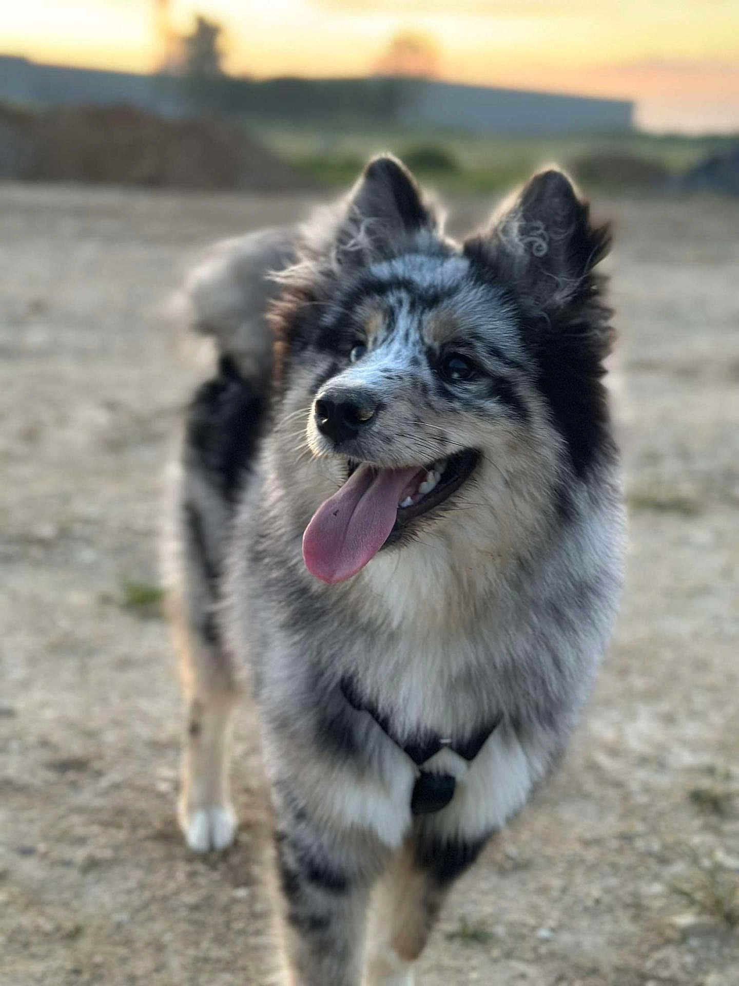 Valka