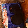 cat, black_cat, pet_bowl, food, kibble, carpet, cardboard_box, fabric, clutter, indoor, animal, feeding, blue_bowl, floor, pet_food, blurry, household, stuffed, container, domestic