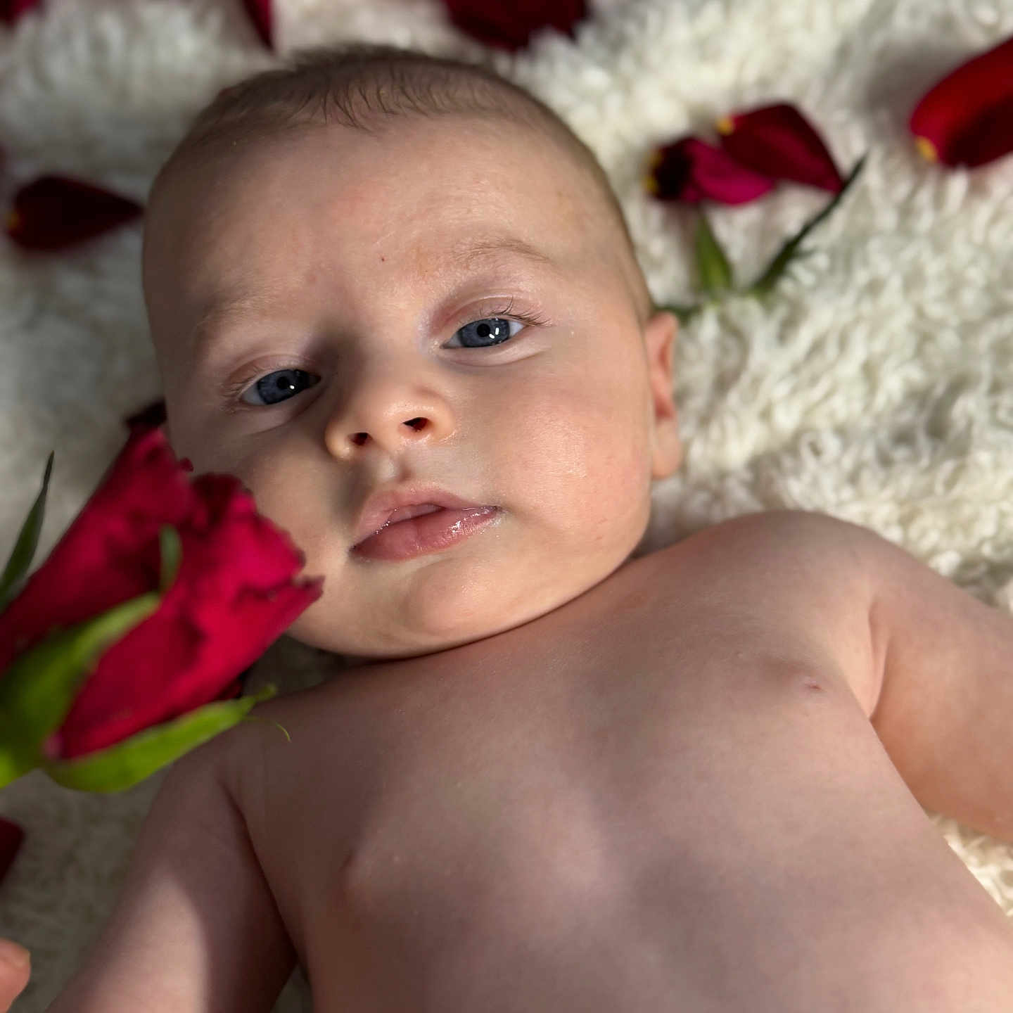 Vladimir joined the competition — help win amazing prizes! baby, back, bodypart, face, finger, flower, flowerarrangement, flowerbouquet, geranium, hand, head, mouth, newborn, person, petal, photography, plant, portrait, rose, wrist