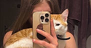 Vanille a rejoint le concours — aidez-le/la à gagner de superbes lots ! cat, orange_cat, white_cat, pet, animal, mirror_selfie, person, long_hair, phone, smartphone, bathroom, towels, indoor, sitting, 抱抱, collar, bracelet, casual, cozy, portrait