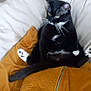 cat, black_and_white, sitting, relaxed, indoor, cushion, chair, furniture, paw, fur, pet, whiskers, home, cozy, mustard_color, zipper, domestic_animal, cute, animal, resting