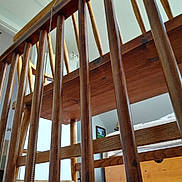 Kitty joined the competition — help win amazing prizes! animal, bed, carpet, cat, ceiling, chair, curious, door, floor, furniture, home, indoor, light, painting, pet, room, rope_toy, window, wood, wooden_railings