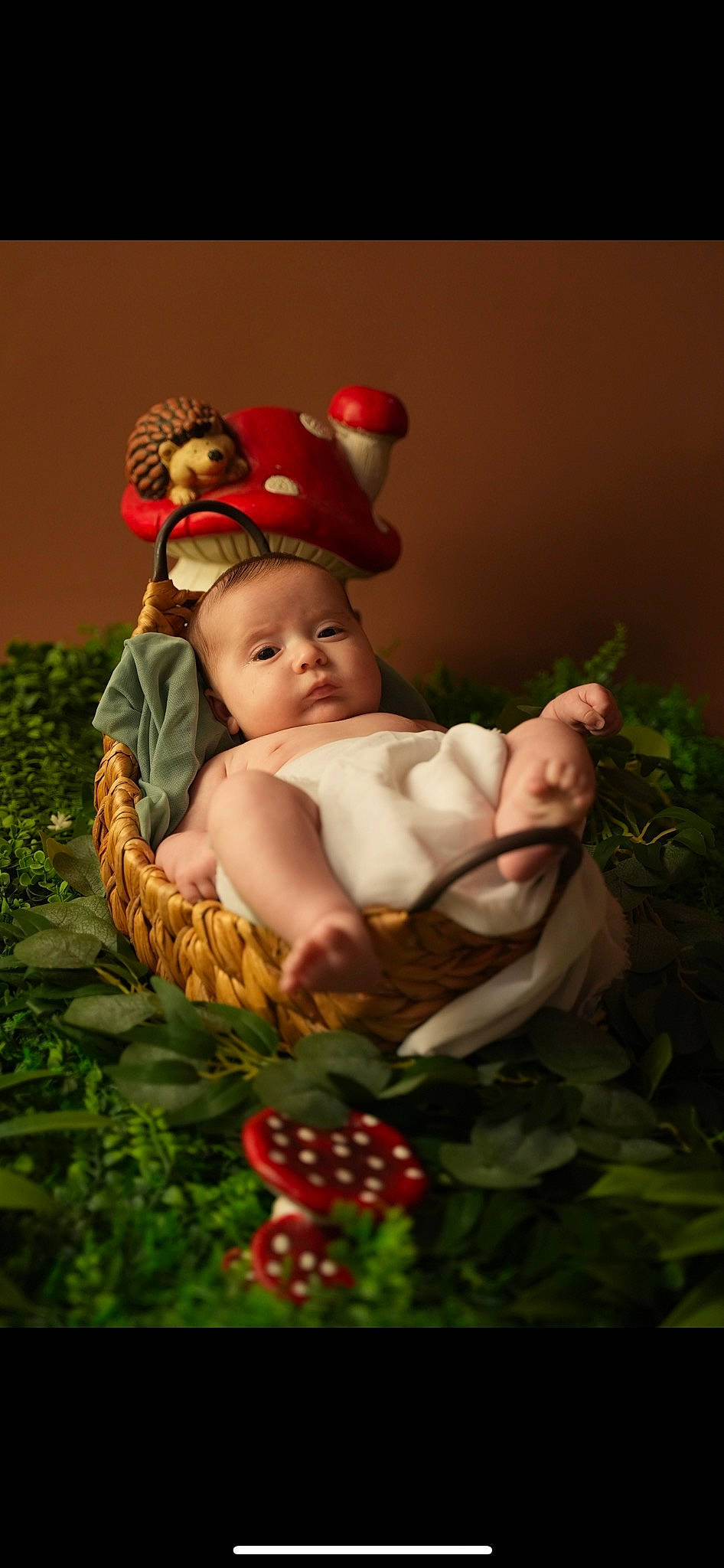 Lyana a rejoint le concours — aidez-le/la à gagner de superbes lots ! baby, baby_toddler_clothing, child, christmas, christmas_decoration, christmas_ornament, event, eye, facial_expression, fictional_character, flash_photography, grass, happy, holiday, ornament, people_in_nature, person, plant, rose_family, rose_order