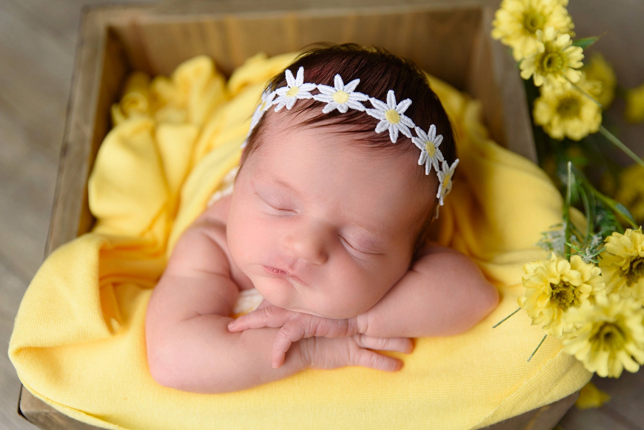 Skyler joined the competition — help win amazing prizes! artificial_flower, baby, baby_toddler_clothing, chair, flower, flower_arranging, grass, hair_accessory, hand, happy, headband, headgear, headpiece, jewellery, person, petal, picture_frame, plant, rose, toddler