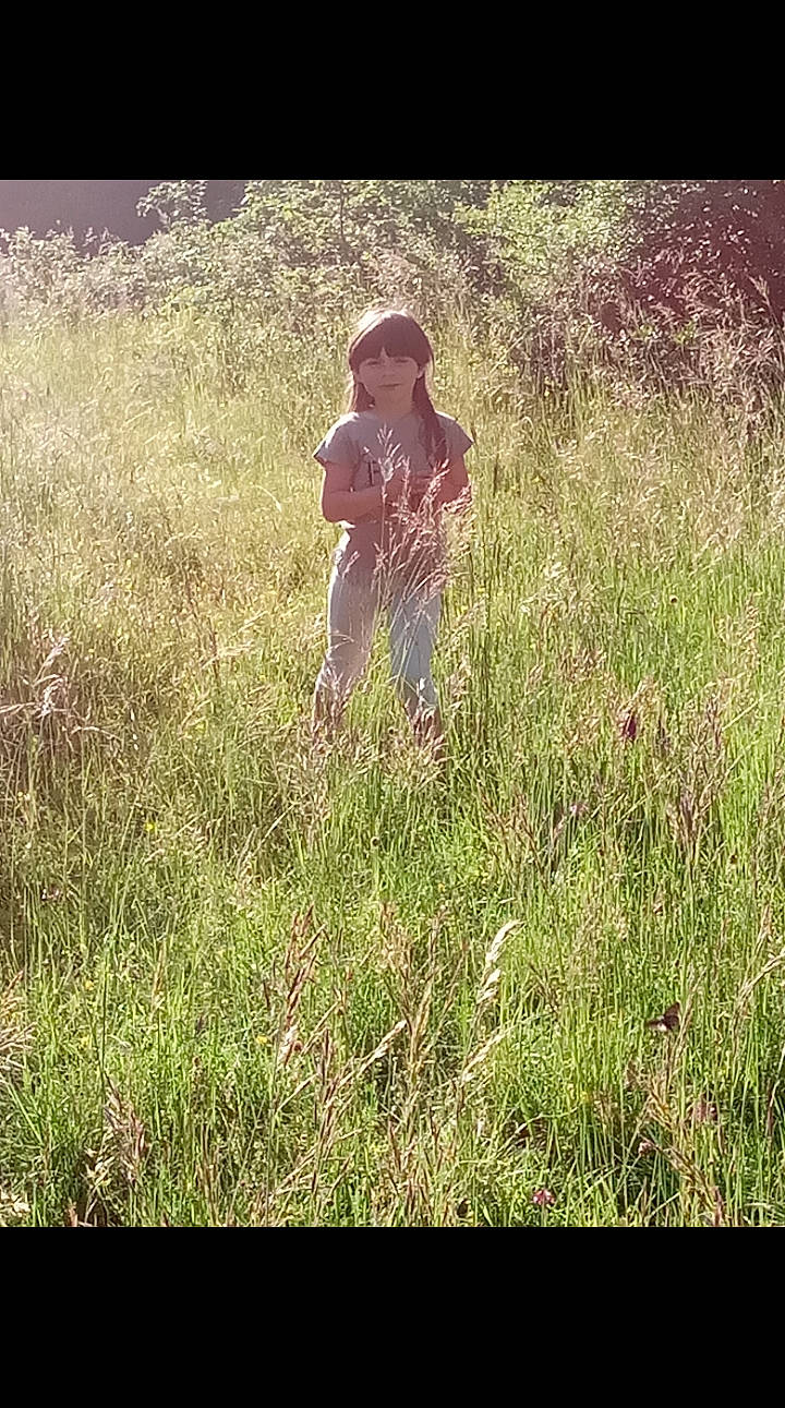 Océane participe au concours pour gagner de l'argent avec cette photo : adaptation, child, grass, grass_family, grassland, happy, lawn, meadow, pasture, people_in_nature, person, photograph, photography, plant, prairie, sunlight, tree, wildflower