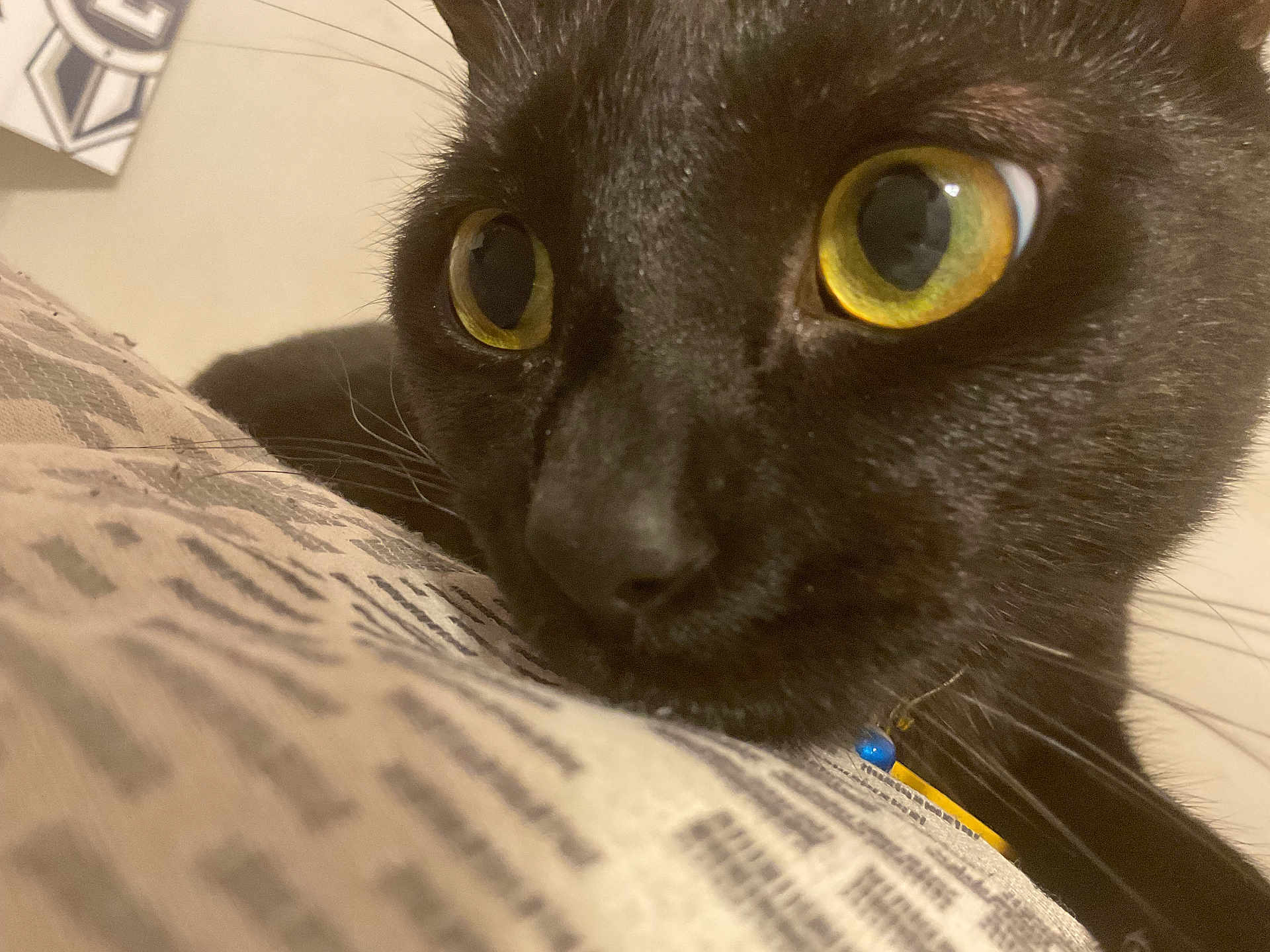 Luna