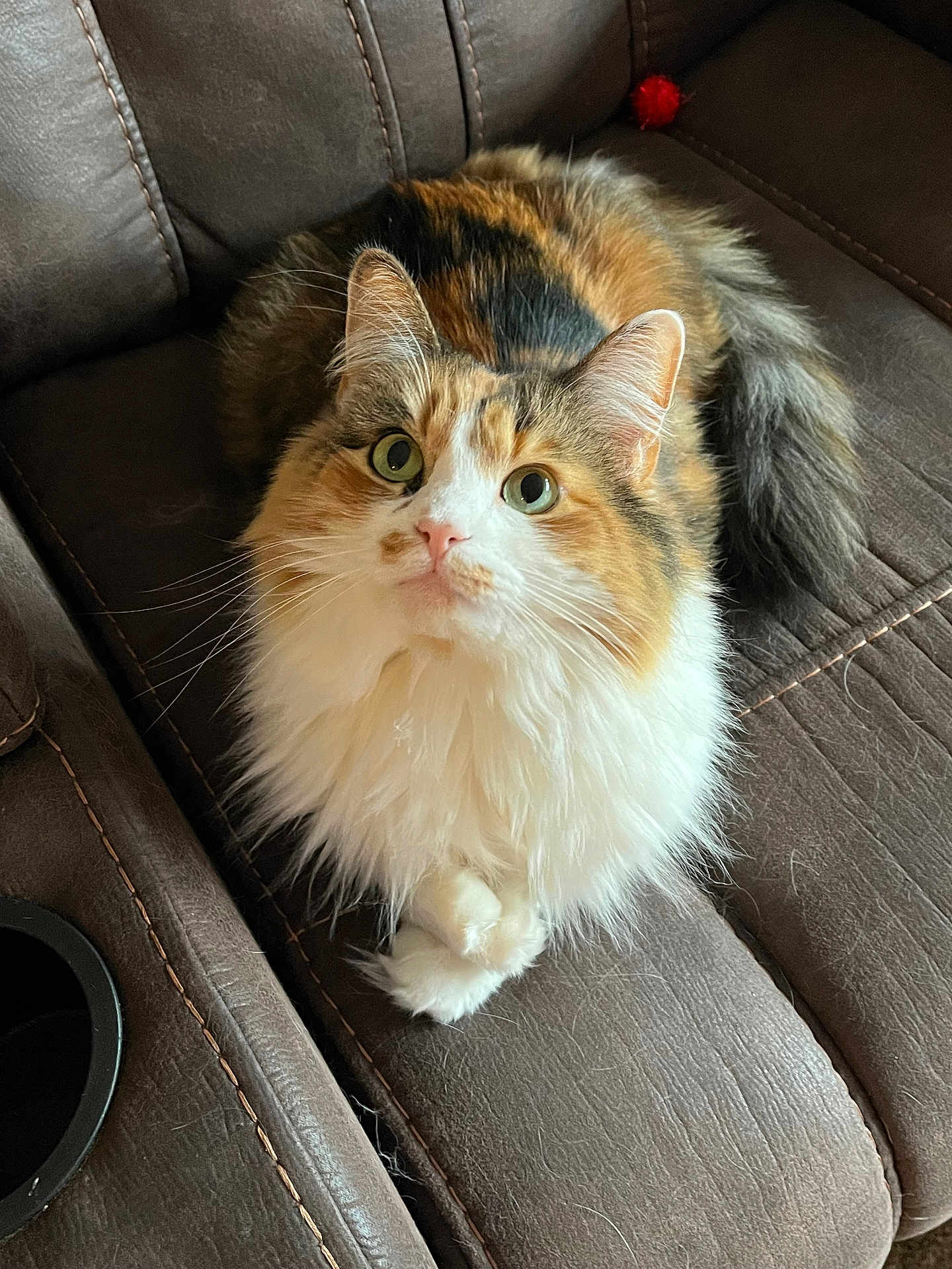 Chloe