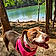 Sadie