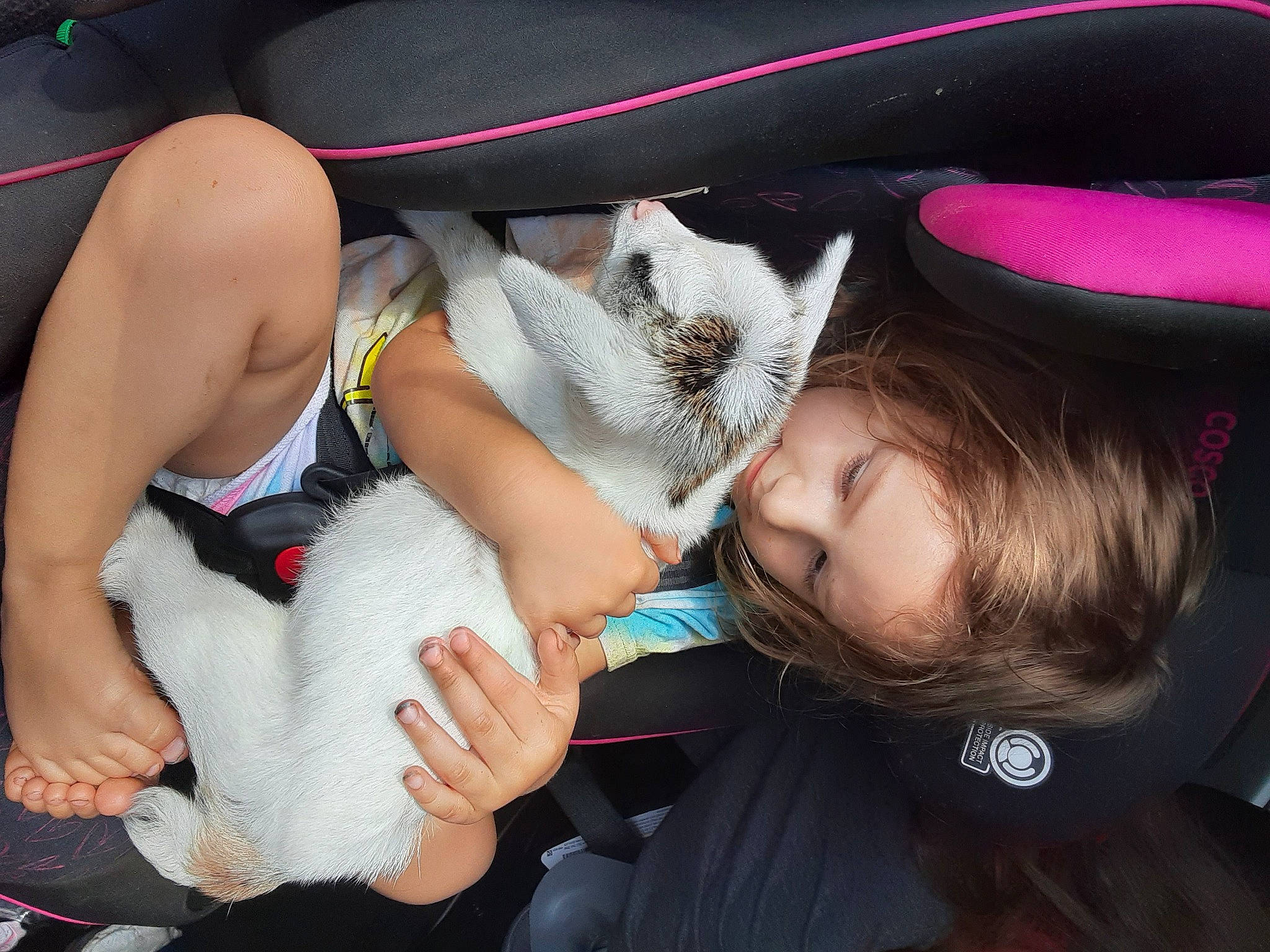 Haylee joined the competition — help win amazing prizes! abdomen, beauty, black_hair, child, comfort, elbow, fun, hairstyle, happy, headgear, human_leg, knee, lap, leisure, mouth, nail, person, skin, thigh, toddler