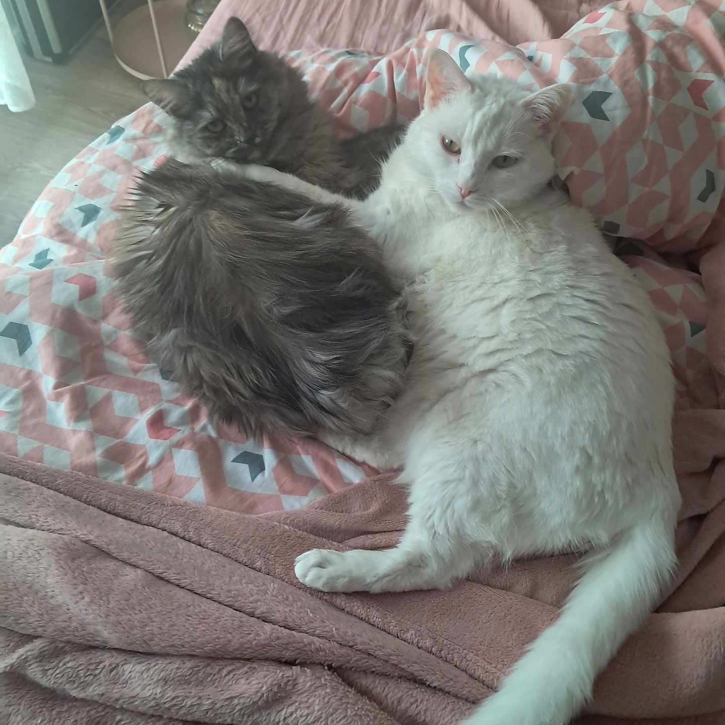 Neige Et Naya