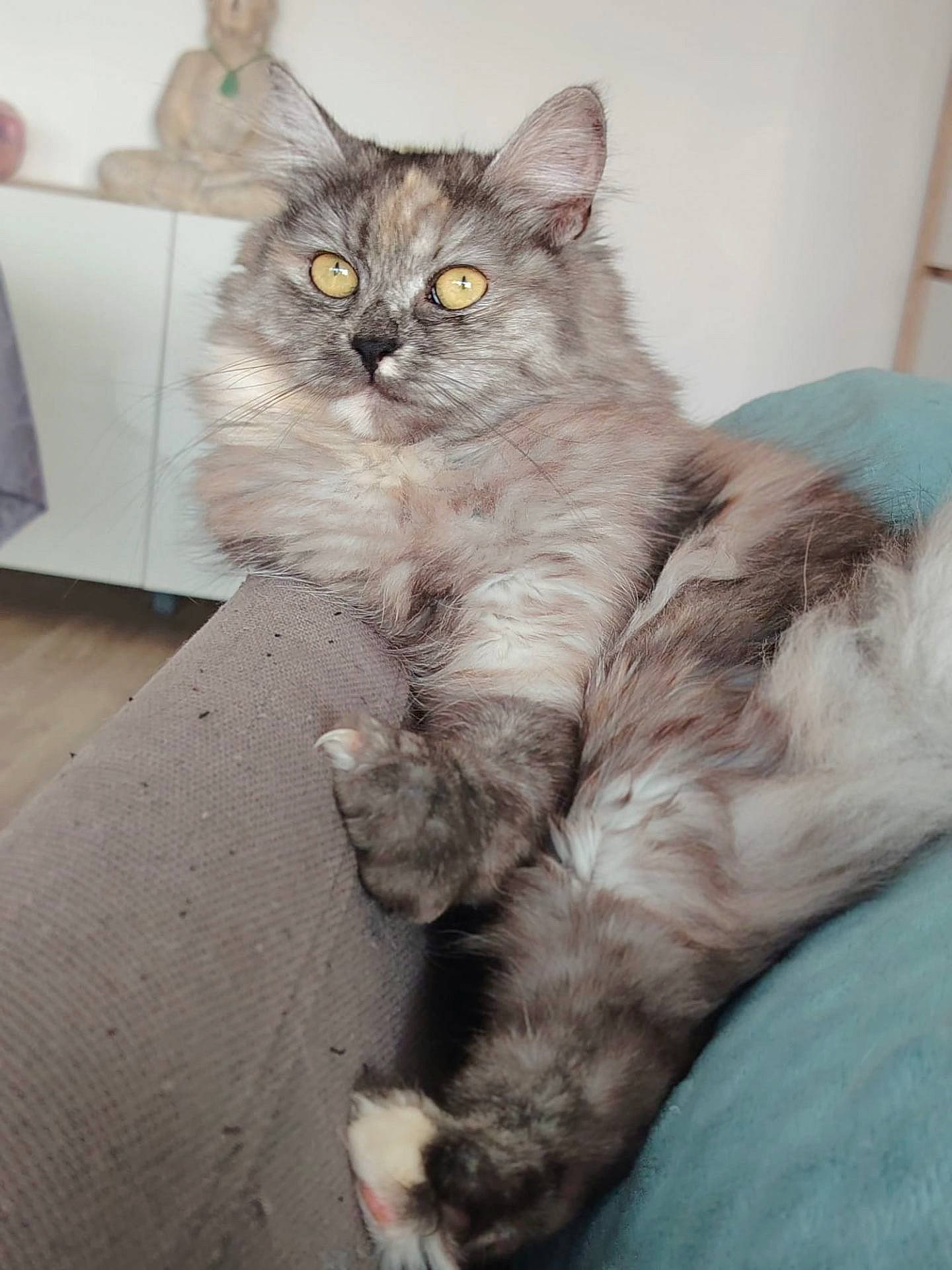 Naya