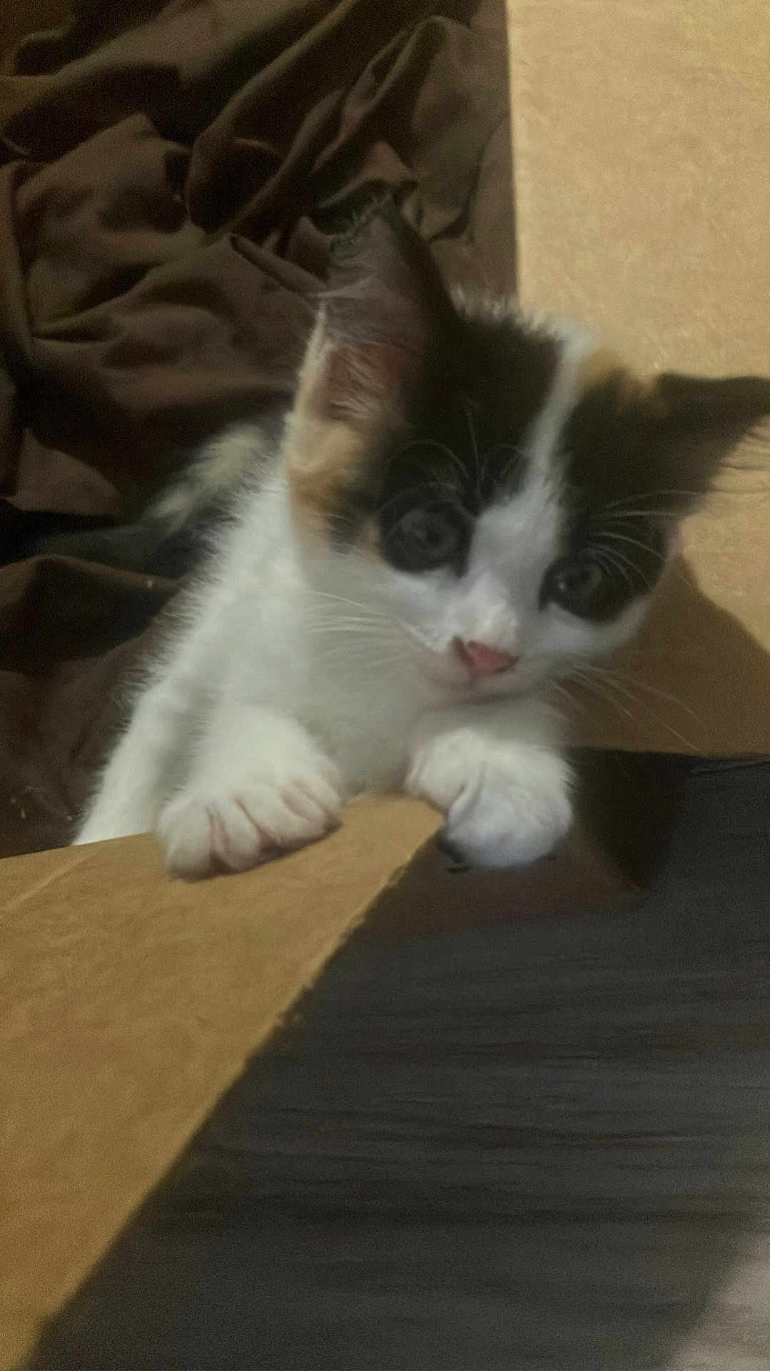 Luna