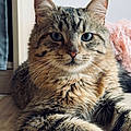 Tom B.