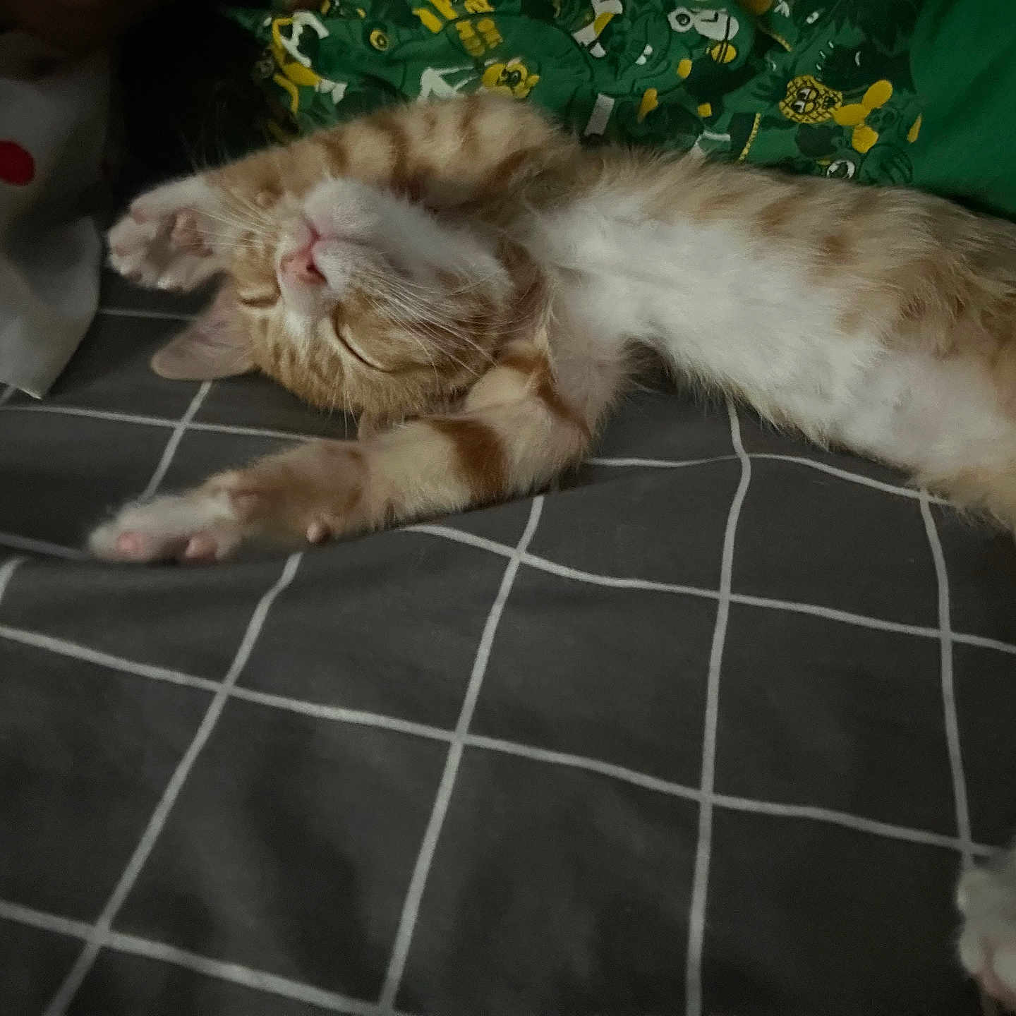 Nugget