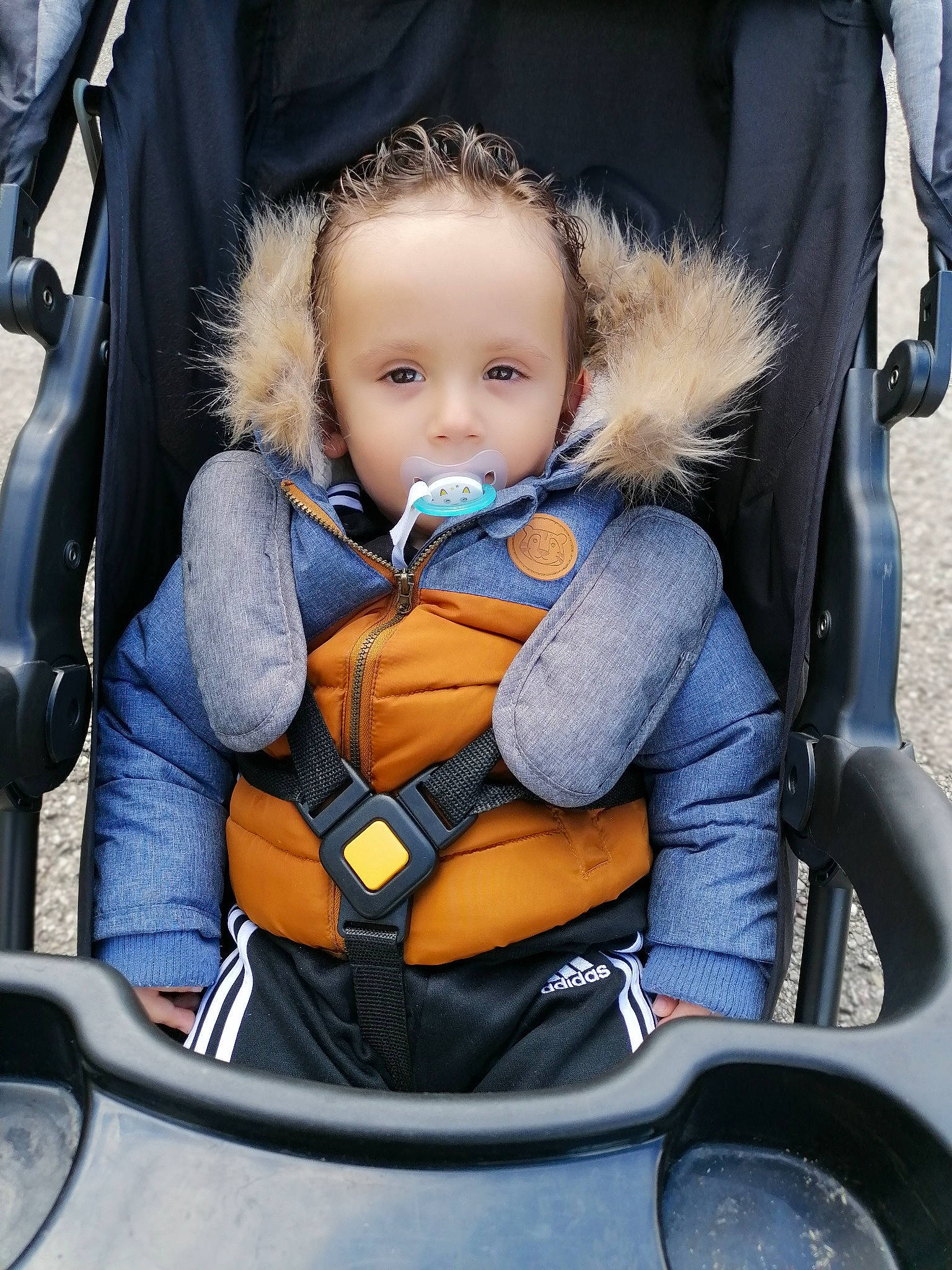 Marvin participe au concours pour gagner de l'argent avec cette photo : auto_part, baby, baby_carriage, baby_in_car_seat, baby_products, baby_toddler_clothing, beauty, car_seat, cheek, child, comfort, facial_expression, lap, mammal, motor_vehicle, people, person, plant, skin, toddler