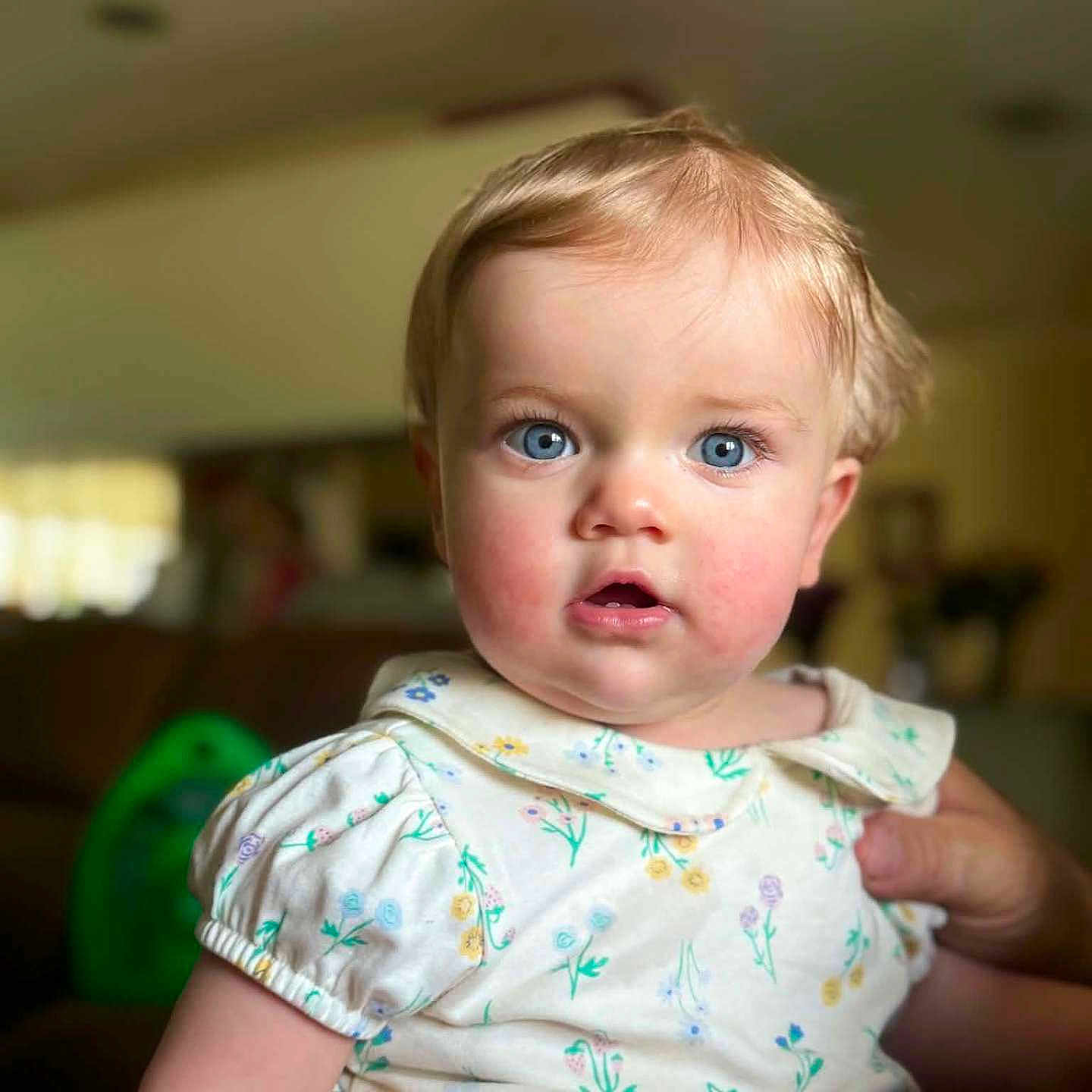Raegan joined the competition — help win amazing prizes! baby, child, infant, portrait, sitting, blue_eyes, blond_hair, wide_eyed, curious, indoor, home, floral_outfit, dress, adult_hand, close_up, face, photography, warm_lighting, green_toy, happy