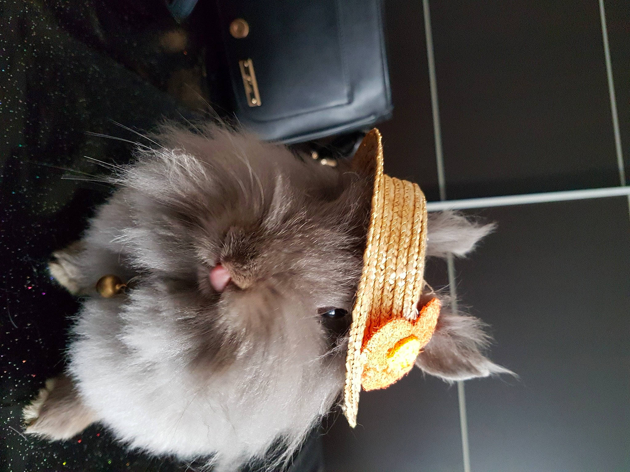 Chouchoute