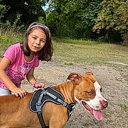 Aroh participe au concours pour gagner de l'argent avec cette photo : child, dog, outdoor, park, grass, trees, harness, petting, happy, animal, nature, casual_clothing, playful, summer, brown_dog, white_markings, young_girl, smiling, leisure, walk