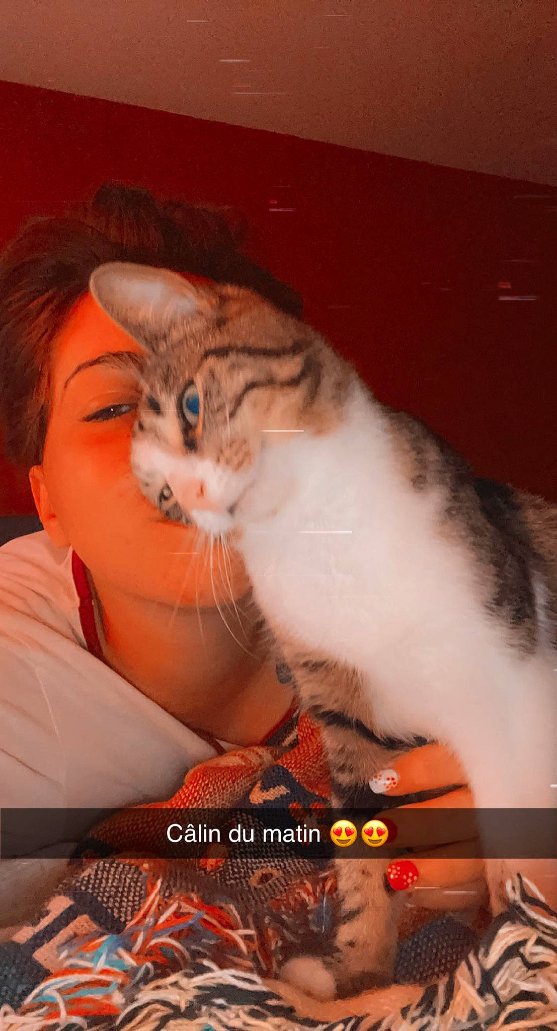 Lana a rejoint le concours — aidez-le/la à gagner de superbes lots ! carnivore, cat, claw, comfort, domestic_short_haired_cat, eyelash, felidae, fur, lap, nail, paw, pet_supply, photo_caption, small_to_medium_sized_cats, tail, whiskers, window