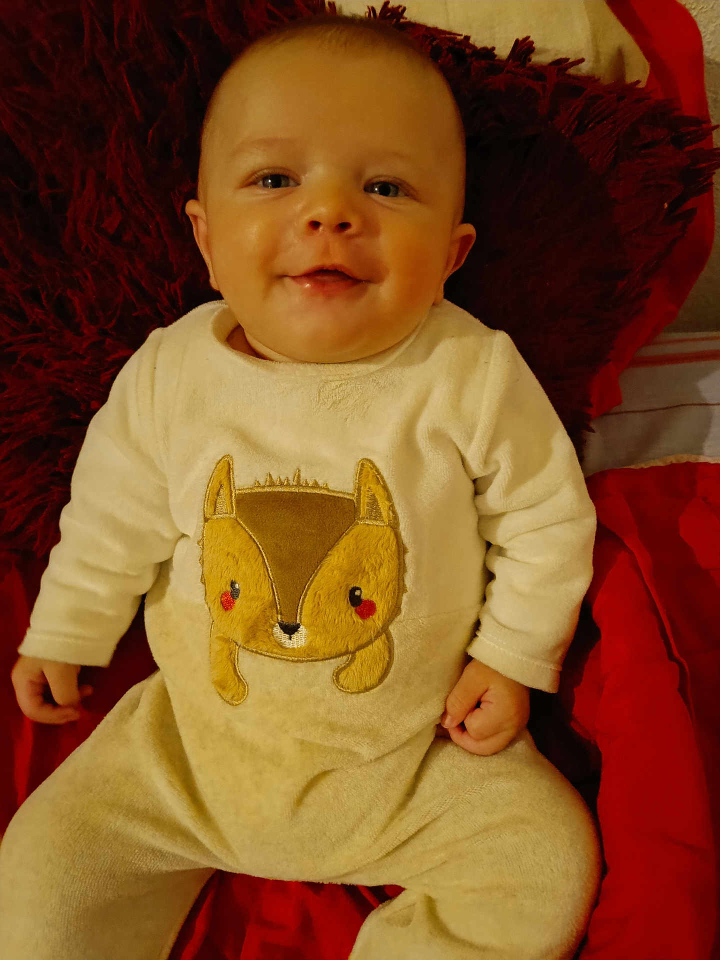 Noah a rejoint le concours — aidez-le/la à gagner de superbes lots ! baby, smiling, infant, child, cute, cozy, clothing, fox_design, red_blanket, bedding, portrait, indoors, happy, young_child, sitting, fuzzy_texture, warm_colors, face, hands, plush