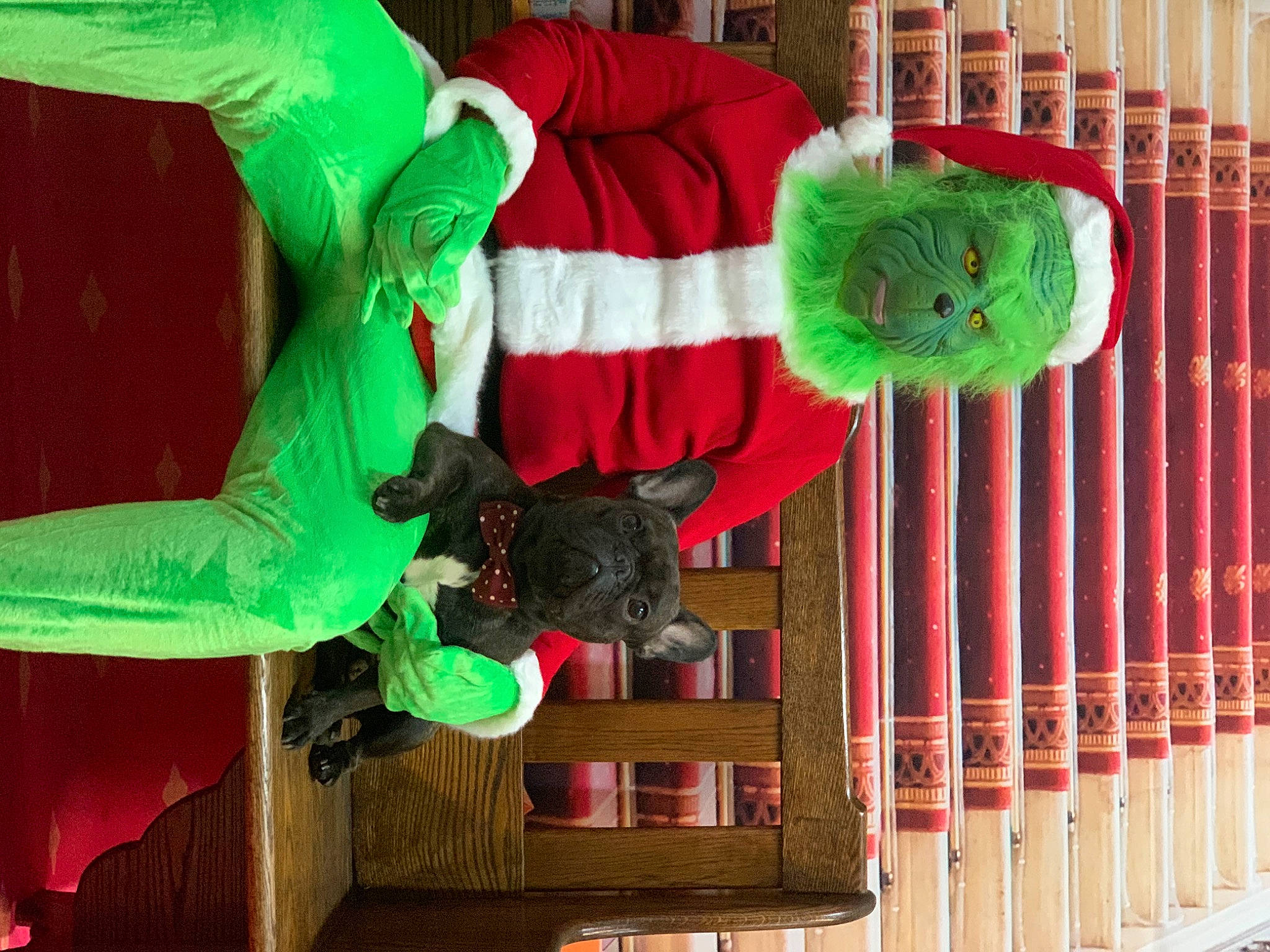 Odin is registered to the contest to win money with this photo: green