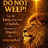 lion, animal, wildlife, mane, profile, cross, light, glow, religion, inspiration, quote, text_overlay, golden, brown, spiritual, hope, triumph, faith, nature, portrait