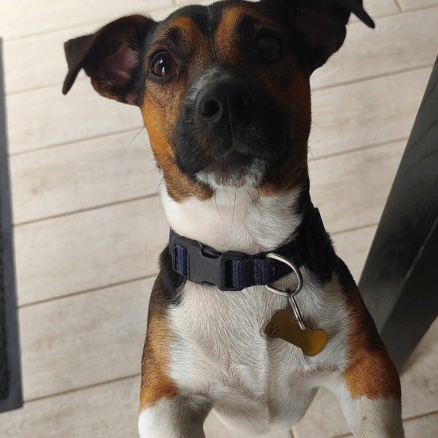 Aiko