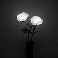 Heba E.