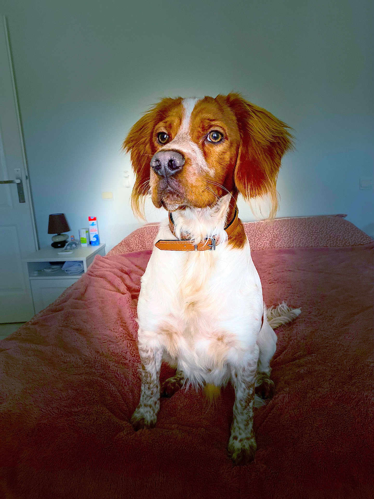 Marley