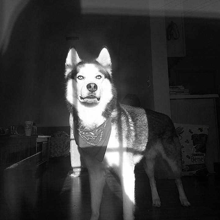 Suka is registered to the contest to win money with this photo: