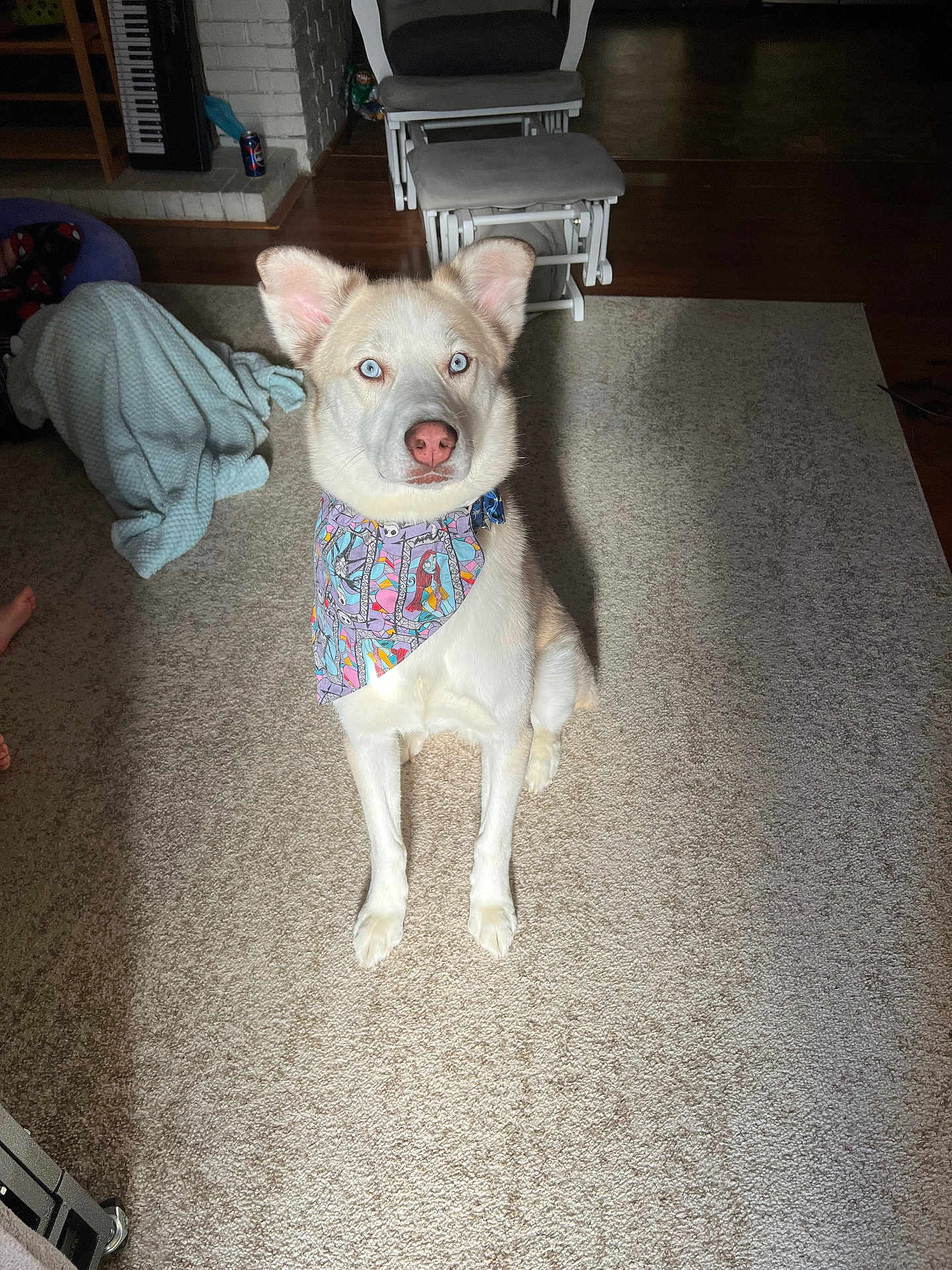 Axel