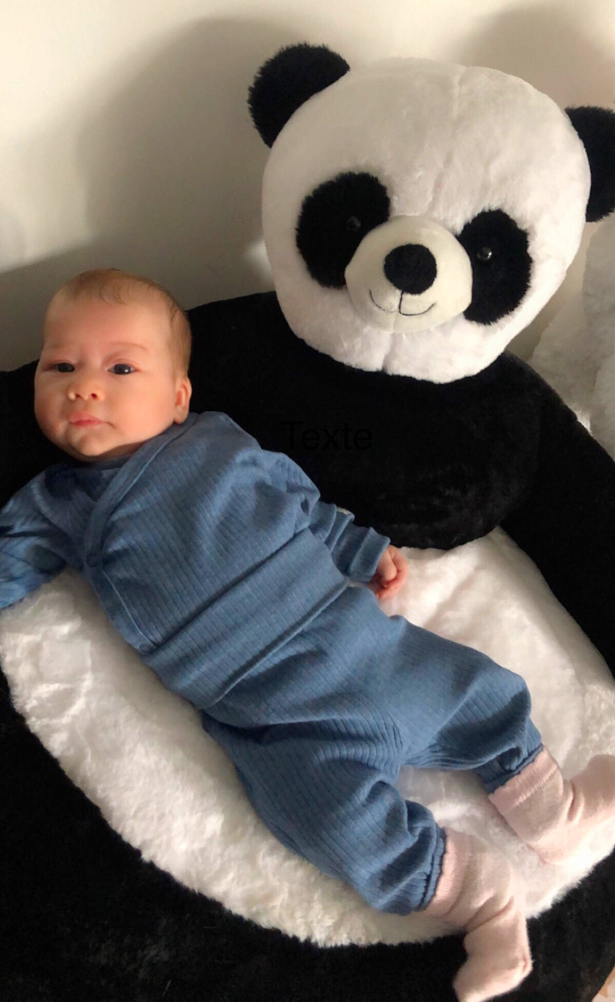 Lila participe au concours pour gagner de l'argent avec cette photo : baby, baby_toddler_clothing, bear, child, comfort, couch, fur, linens, mammal, panda, person, plush, room, sitting, snout, stuffed_toy, teddy_bear, terrestrial_animal, textile, toddler