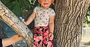Kaleiah joined the competition — help win amazing prizes! child, toddler, tree, outdoor, nature, leaves, sunlight, pants, shoes, sneakers, smile, person, branch, casual_clothing, daylight, happy, young, cute, playful, park