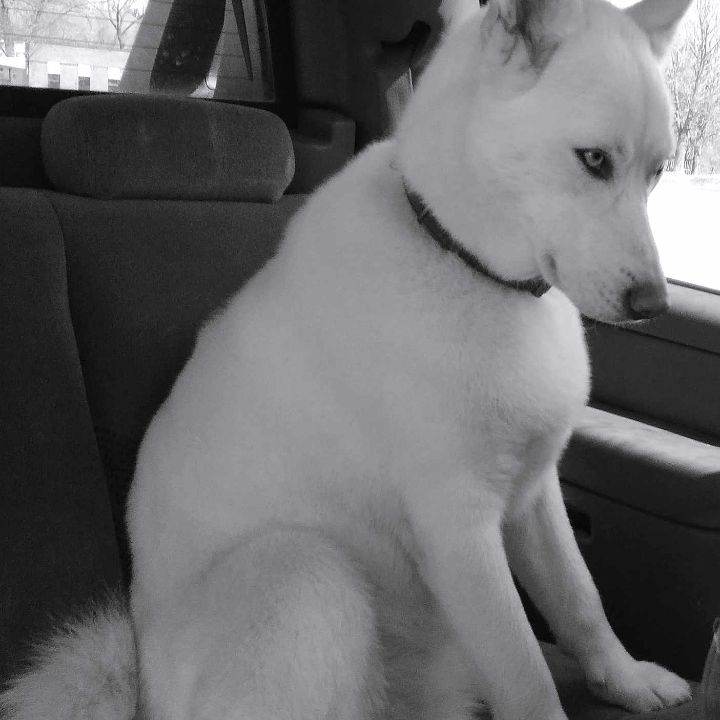 Coco