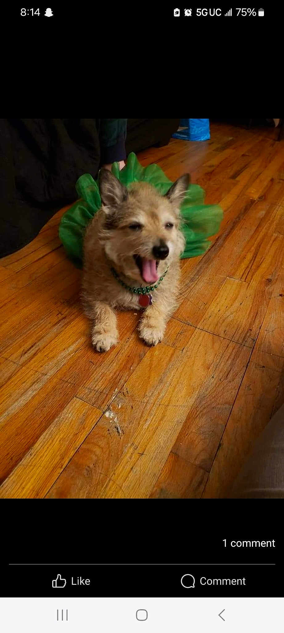 Sofie