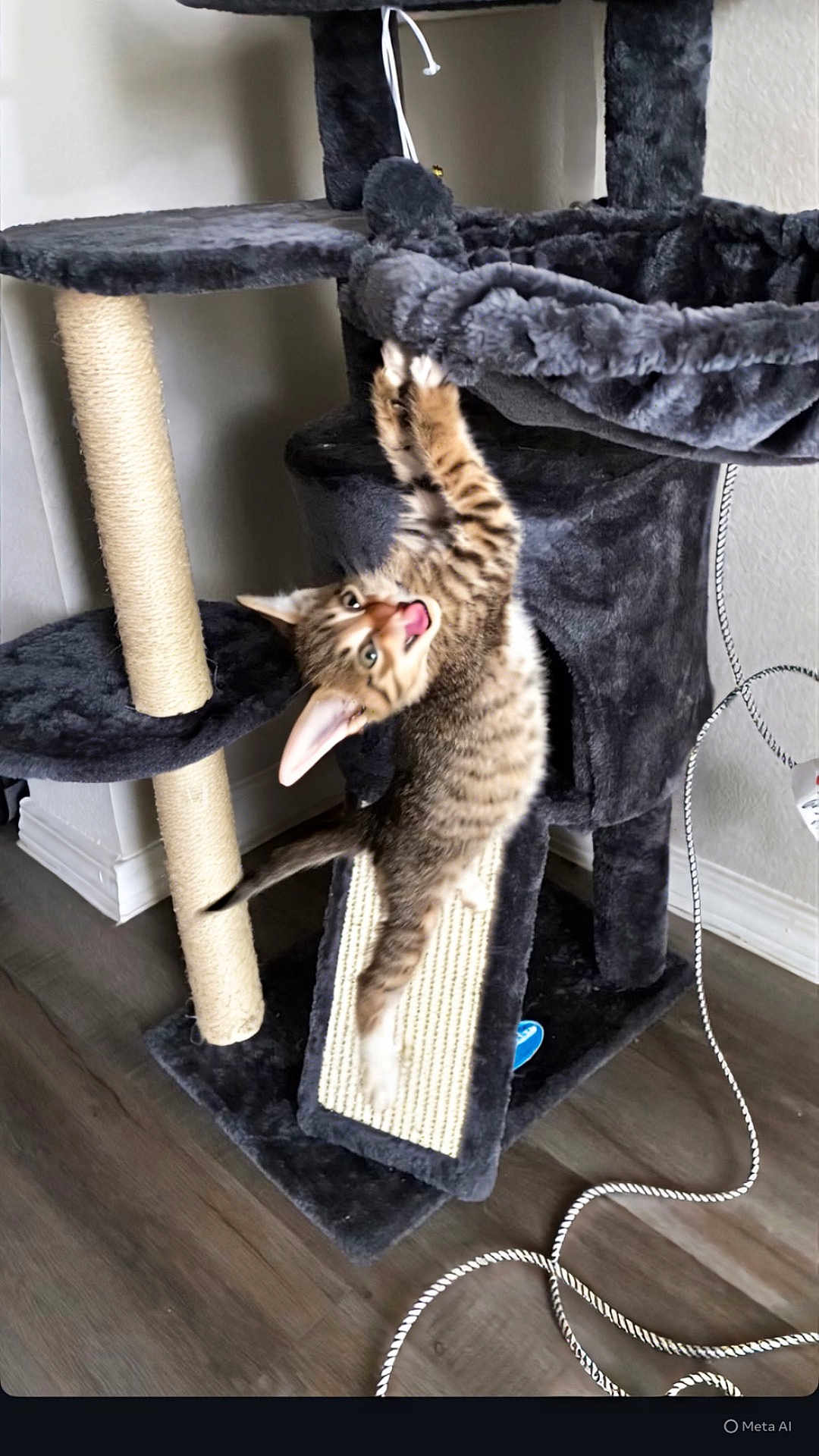 Milo