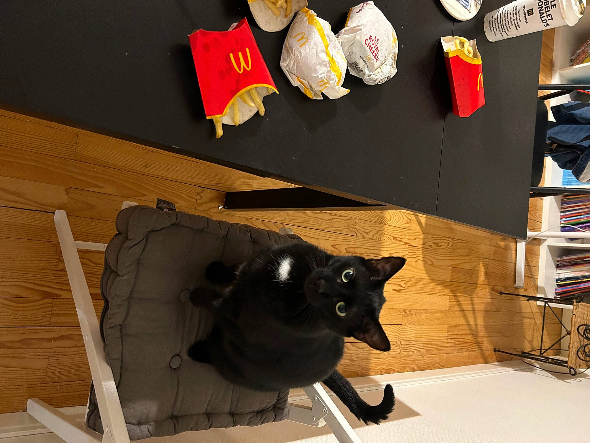 Anakin participe au concours pour gagner de l'argent avec cette photo : art, bombay, carmine, cat, domestic_short_haired_cat, fashion_accessory, felidae, font, fur, illustration, paper, room, shelf, shelving, small_to_medium_sized_cats, tail, tints_and_shades, visual_arts, whiskers, wood