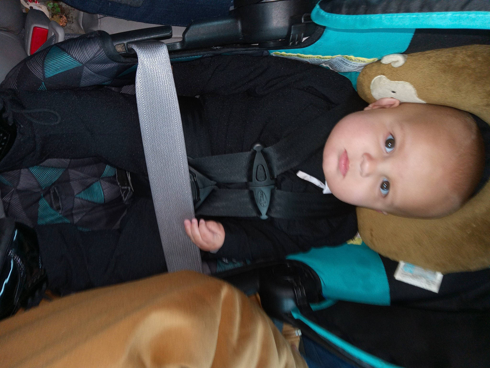 Malakai joined the competition — help win amazing prizes! auto_part, baby, baby_carriage, baby_products, baby_safety, baby_toddler_clothing, backpack, bag, car_seat, chair, child, comfort, head_restraint, luggage_and_bags, luxury_vehicle, person, personal_protective_equipment, sitting, suit, toddler