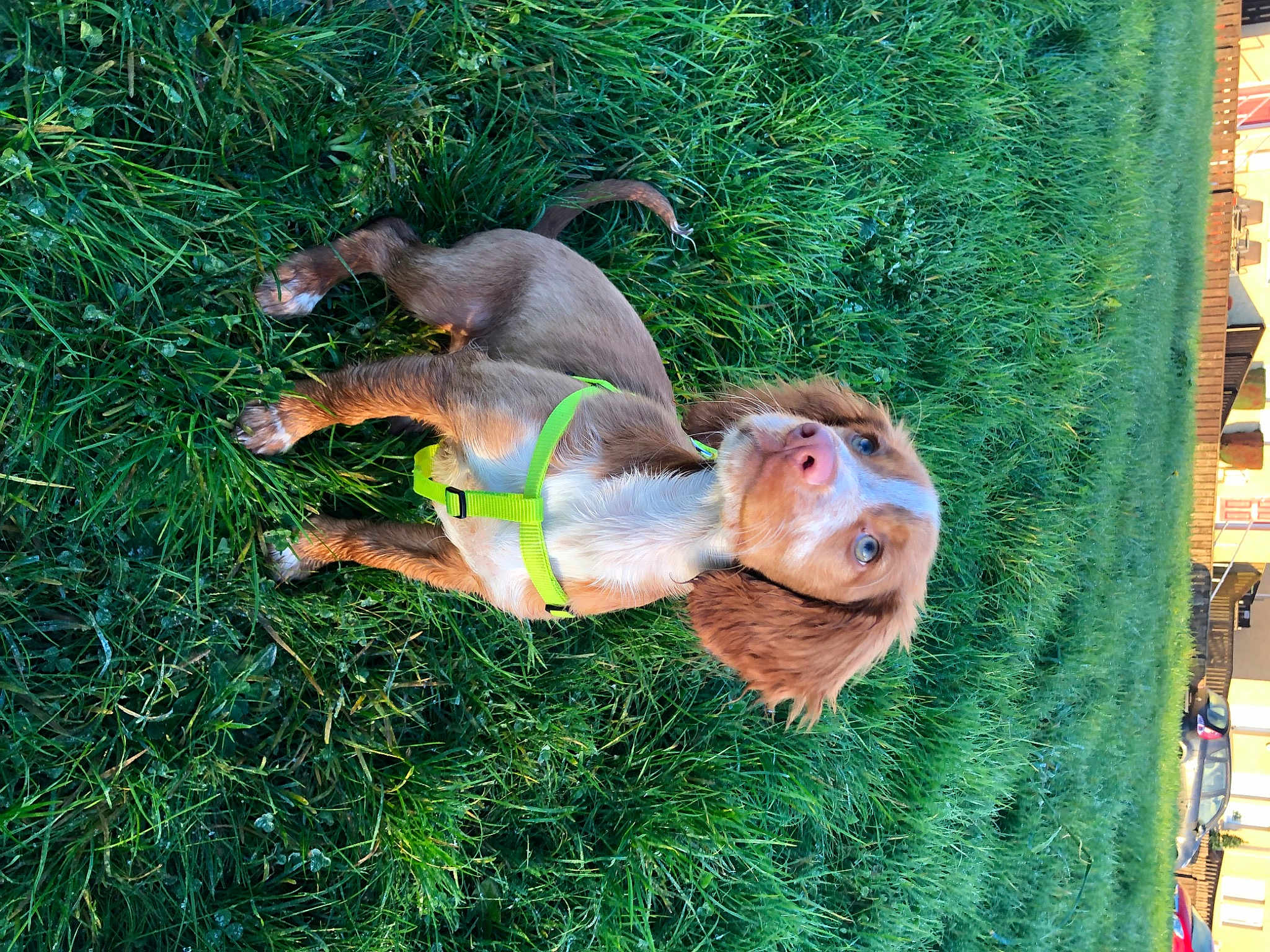 Luna