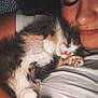 person, cat, kitten, sleeping, cuddle, cozy, closeup, indoor, relaxation, comfort, pet, fluffy, cute, rest, face, arm, bracelet, white_shirt, animal, love