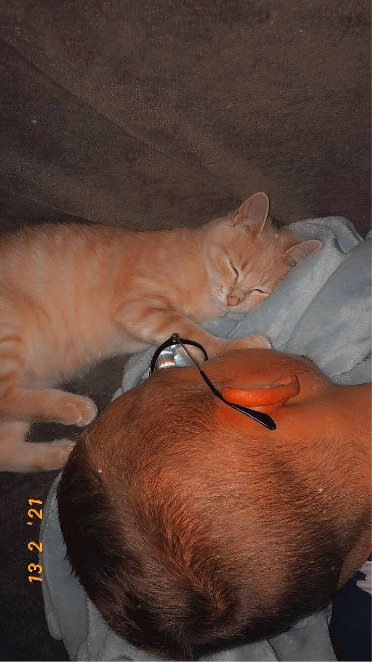 Mäiddy participe au concours pour gagner de l'argent avec cette photo : carnivore, cat, comfort, domestic_short_haired_cat, ear, eye, fawn, felidae, fur, gesture, human_body, human_leg, nap, orange, paw, small_to_medium_sized_cats, snout, tail, whiskers, wrinkle