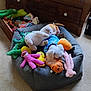 Samantha is registered to the contest to win money with this photo: dog, stuffed_toys, pet_bed, white_dog, plush, carpet, wooden_dresser, indoor, cozy, colorful, soft_toys, animal, resting, cute, home, carpeted_floor, relaxing, toy_collection, sleeping_dog, pet