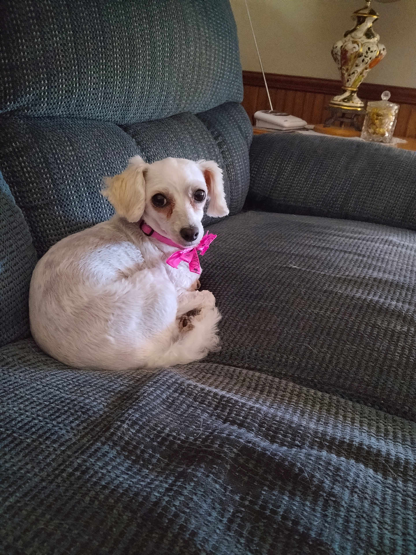 Samantha