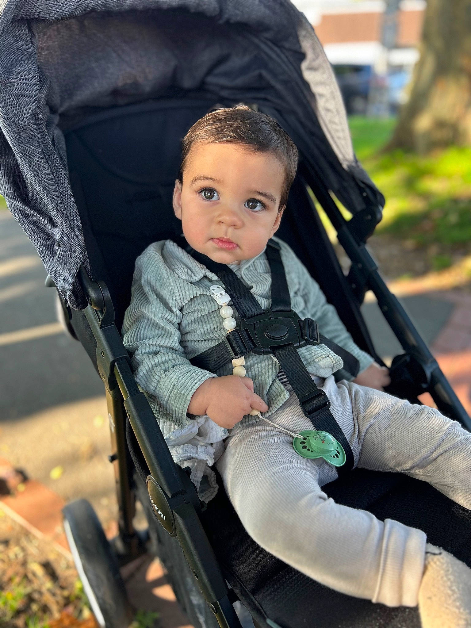 Leo is registered to the contest to win money with this photo: auto_part, baby, baby_carriage, baby_products, baby_safety, chair, child, comfort, fun, grass, leisure, person, plant, product, recreation, sitting, toddler, travel
